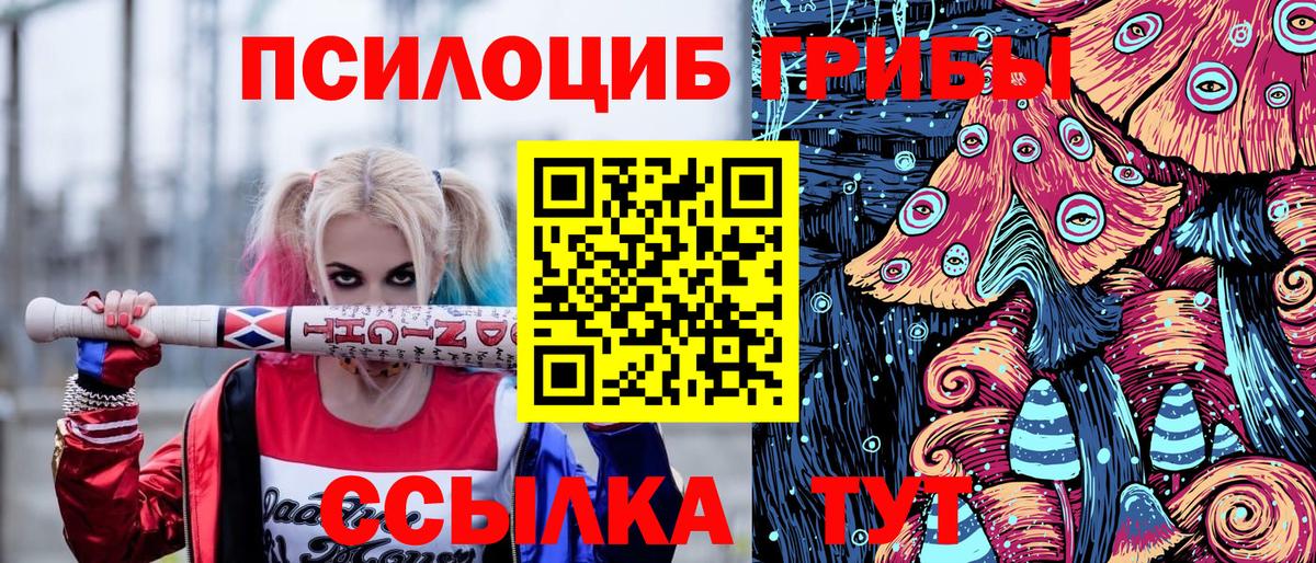 Галлюциногенные грибы Magic Shrooms  Вход с VPN  Курчалой  Галлюциногенные грибы ЛСД 