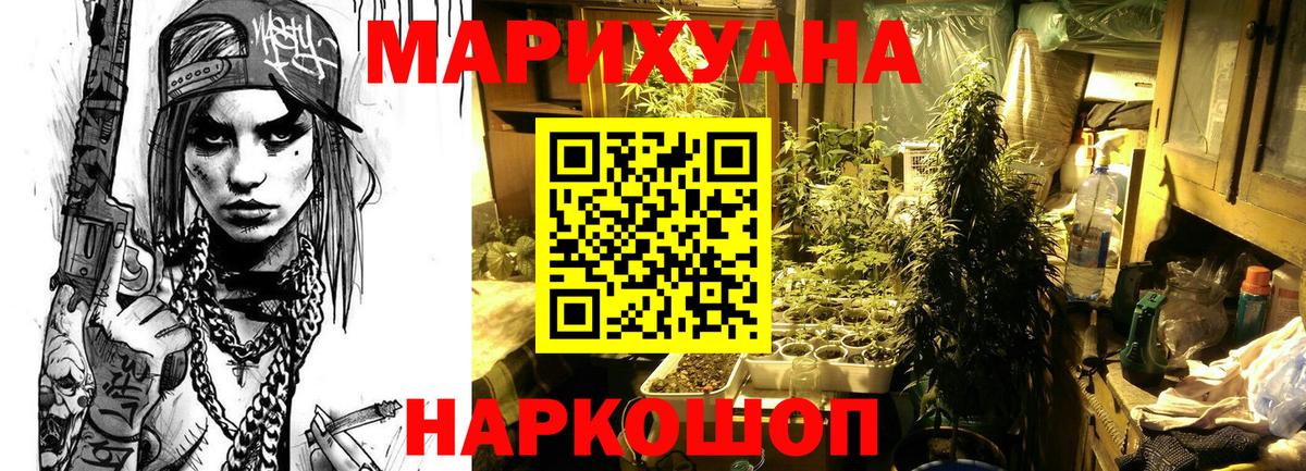 Шишки марихуана AK-47 Курчалой